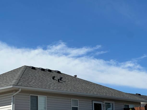 Skylights in Breaux Bridge, LA